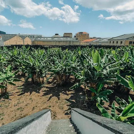 The Farm - Azores Boutique House מלון