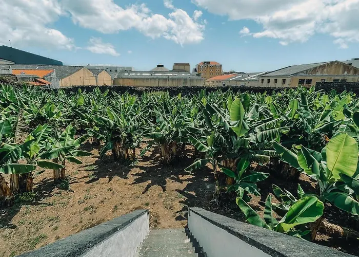 The Farm - Azores Boutique House Ξενοδοχείο